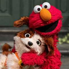 ‘Sesame Street’ Is Feeling the Love on Cartoonito This February